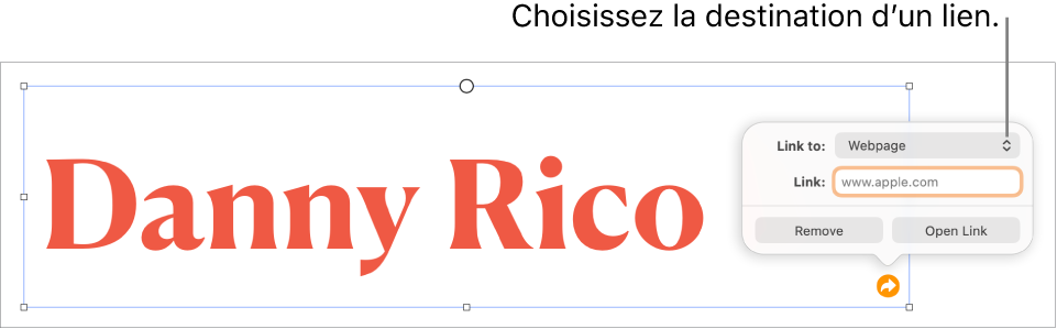 Les commandes de l’éditeur de lien avec l’option Page Web sélectionnée au-dessus des boutons Supprimer et Ouvrir le lien.