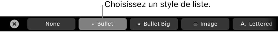 La Touch Bar du MacBook Pro avec les commandes pour choisir un style de liste.