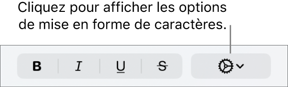Le menu contextuel Plus d’options de texte à droite des boutons Gras, Italique, Souligné et Barré.