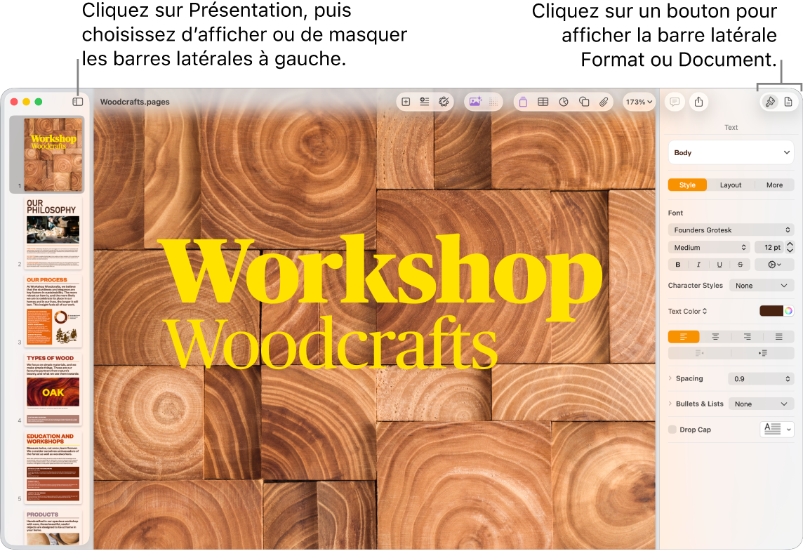 La fenêtre Pages, accompagnée de légendes traitant du bouton du menu Présentation et des boutons Format et Document dans la barre d’outils. Les barres latérales sont visibles à gauche et à droite.