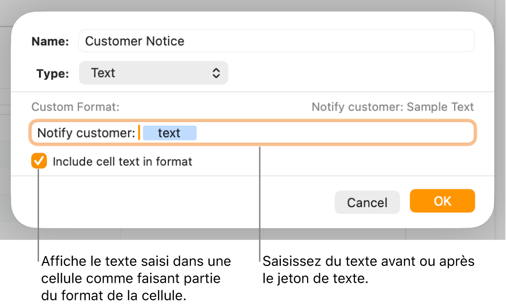 Fenêtre de format de cellule personnalisé présentant les commandes permettant de choisir un format de texte personnalisé.