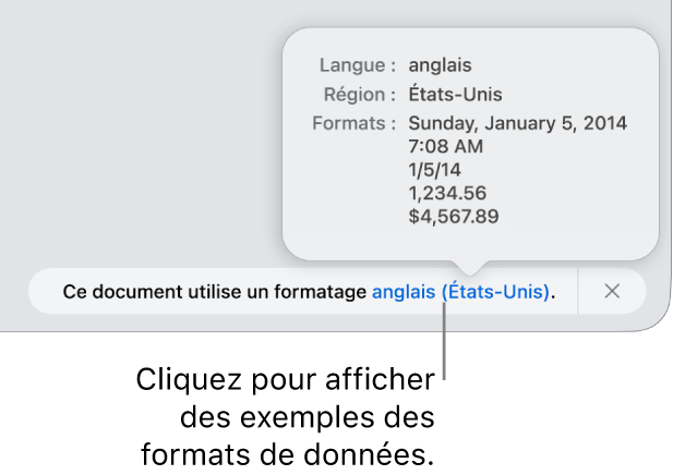 La notification du réglage de langue et de région différents, qui affiche des exemples de la mise en forme correspondant à cette langue et à cette région.
