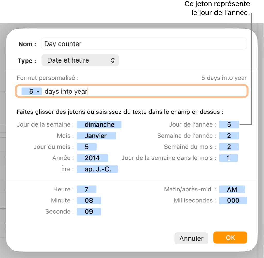 Fenêtre de format de cellule personnalisé présentant les commandes permettant de choisir un format de date et d’heure personnalisé.