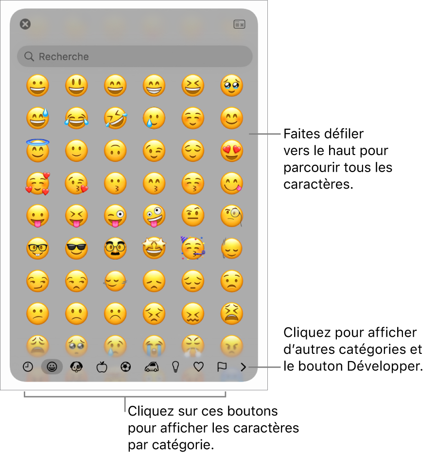 Le visualiseur de caractères affichant des Emoji, les boutons de différentes catégories de symboles en bas, un bouton permettant d’afficher d’autres catégories, ainsi que le bouton Développer.