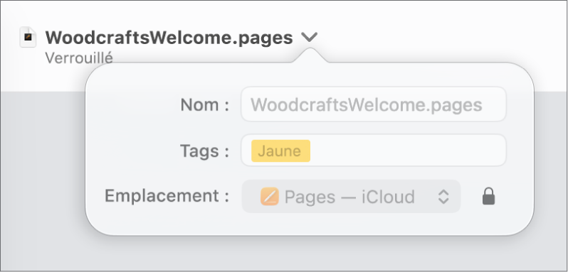 Menu local de verrouillage ou déverrouillage d’un document.
