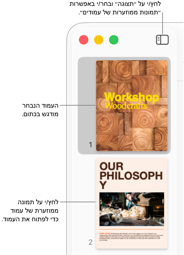 סרגל הצד בחלק השמאלי של חלון Pages, עם התצוגה ״תמונות ממוזערות של עמודים״ פתוחה והעמוד הנבחר מסומן בכתום כהה.