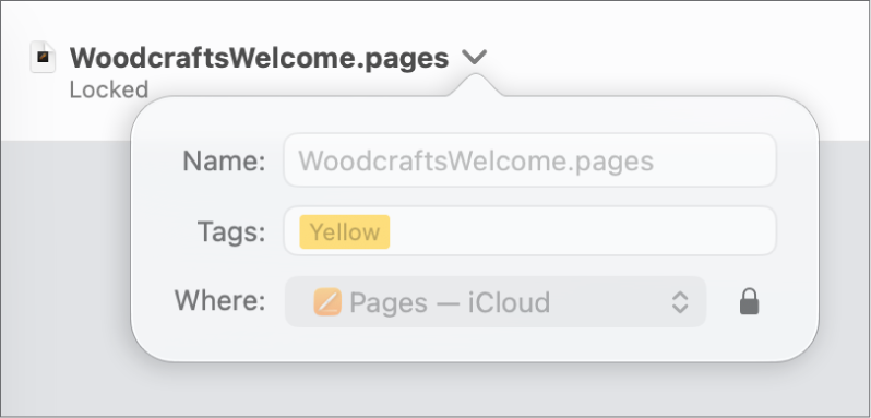 פריט קופצני עבור נעילה או ביטול נעילה של מסמך.