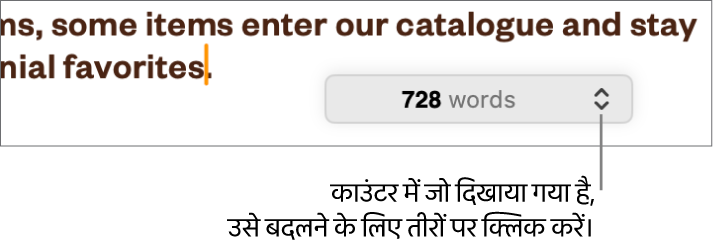 दस्तावेज़ के शब्दों की संख्या दिखाता शब्द गणना मेनू।