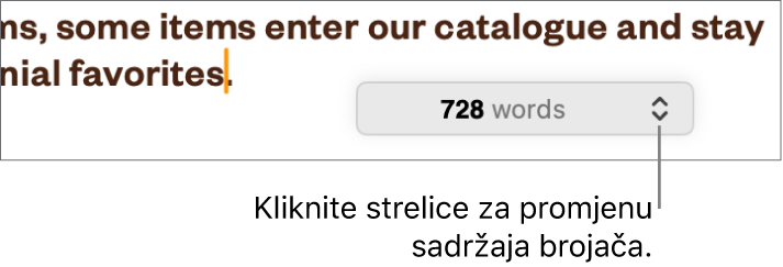 Izbornik s brojem riječi koji prikazuje broj riječi u dokumentu.