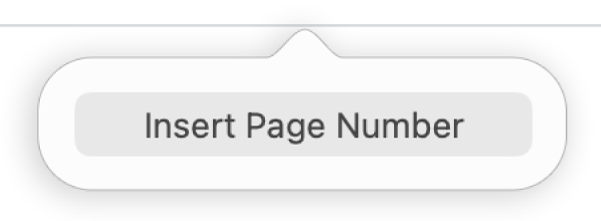 Pulsante “Inserisci numero pagina” sotto all’intestazione.