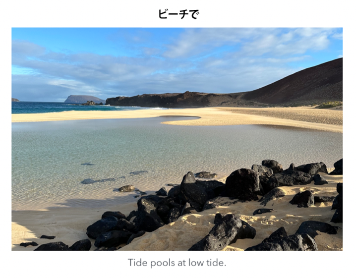 タイトルとキャプションのあるオブジェクト。