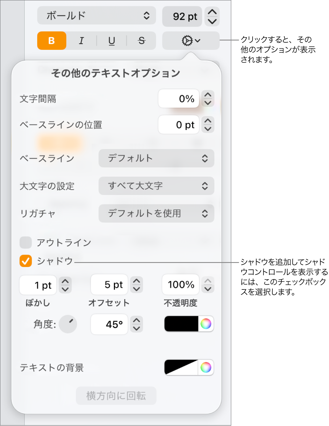 開いている「詳細オプション」メニュー。「シャドウ」チェックボックスが選択され、ぼかし、オフセット、不透明度、角度、およびカラーを設定するためのコントロールがあります。