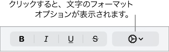 「ボールド」、「イタリック」、「アンダーライン」、および「取り消し線」ボタンの右に「その他のテキストオプション」ポップアップメニューがあります。