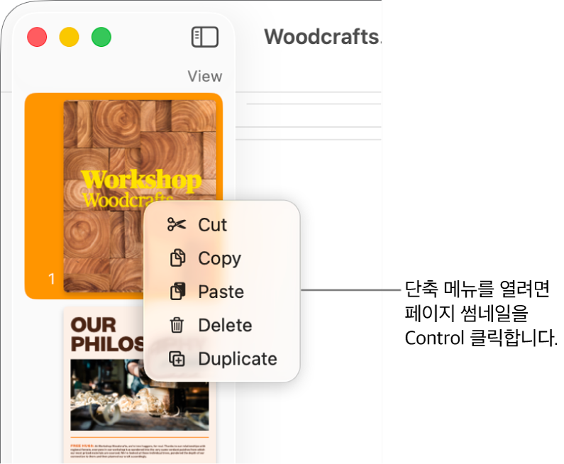 하나의 썸네일이 선택되어 있고 단축키 메뉴가 열린 페이지 썸네일 보기.
