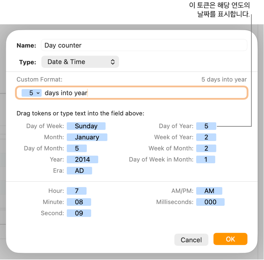 사용자 설정 날짜 및 시간 포맷을 선택하기 위한 제어기가 있는 사용자 설정 셀 포맷 윈도우.