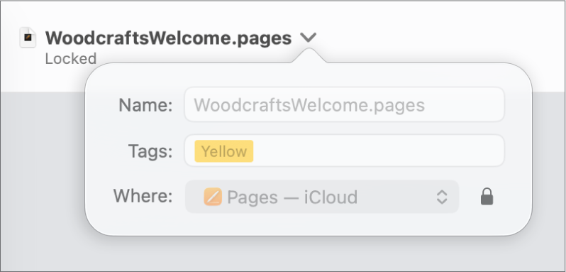 Menu timbul untuk mengunci atau membuka kunci dokumen.
