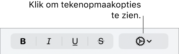 Het pop‑upmenu voor meer tekstopties rechts van de knoppen voor vet, cursief, onderstrepen en doorhalen.