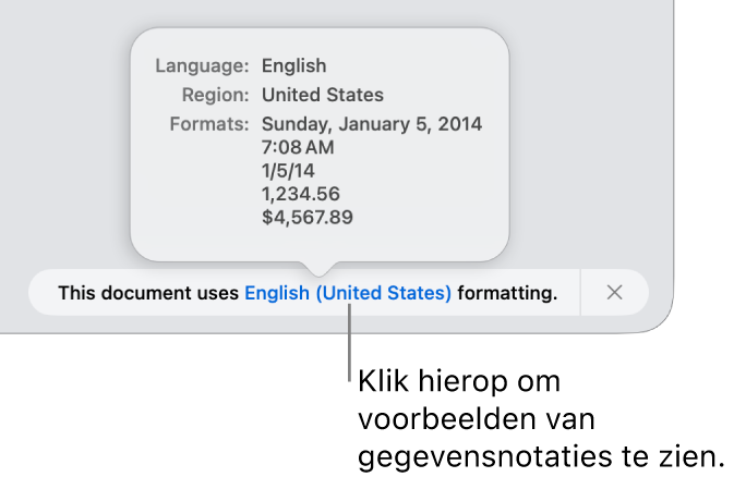 De melding van de afwijkende taal en regio, met voorbeelden van de opmaak in die taal en voor die regio.