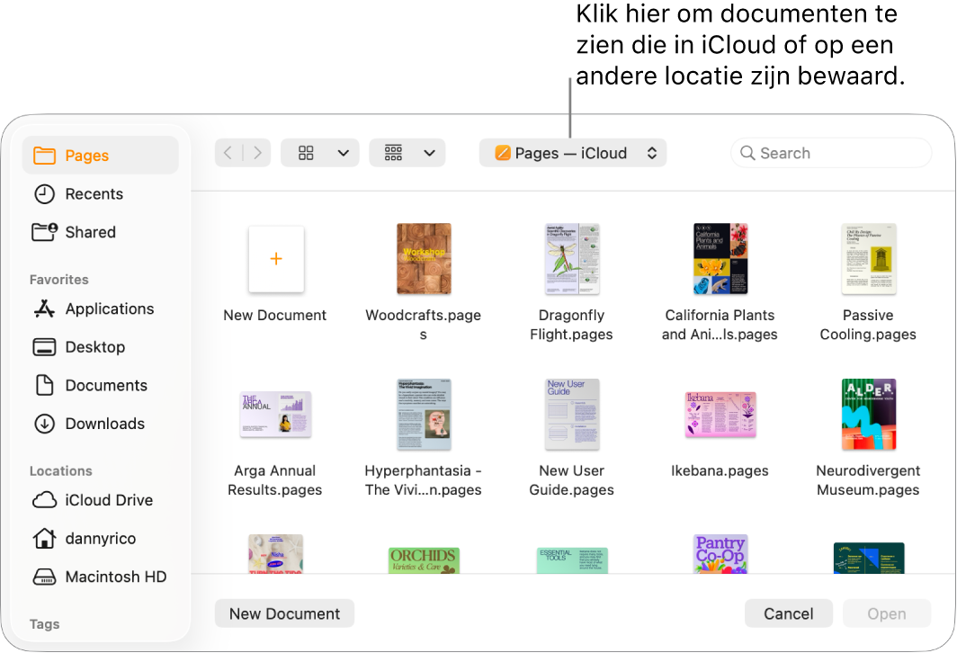 Het dialoogvenster 'Open' waarin de navigatiekolom aan de linkerkant is geopend en waarin in het pop‑upmenu bovenin 'iCloud Drive' is geselecteerd. De Pages-map verschijnt in het dialoogvenster, samen met de knop 'Nieuw document'.