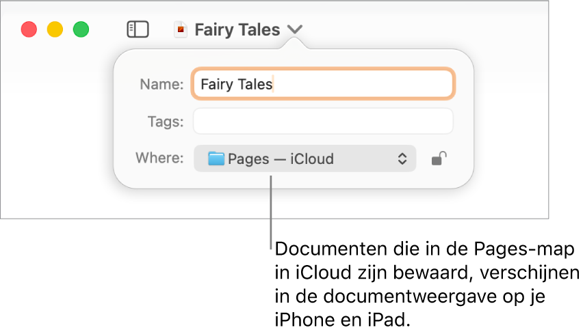 Het dialoogvenster 'Bewaar' voor een document, met de optie 'Pages - iCloud' in het pop‑upmenu 'Locatie'.