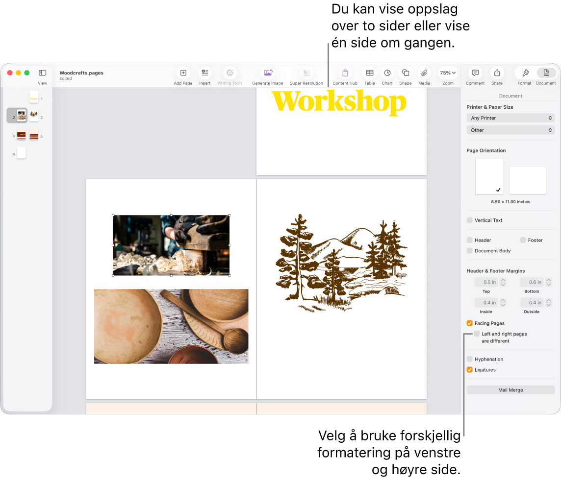 Pages-vinduet med sideminiatyrer og dokumentsider vist som tosidersoppslag. I Dokument-sidepanelet til høyre er ikke avkrysningsruten «Venstre og høyre side er ulike» markert.