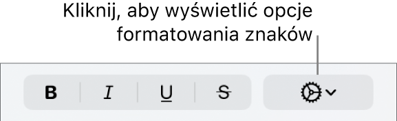 Menu podręczne Więcej opcji tekstu po prawej stronie przycisków Pogrubienie, Kursywa, Podkreślenie oraz Przekreślenie.