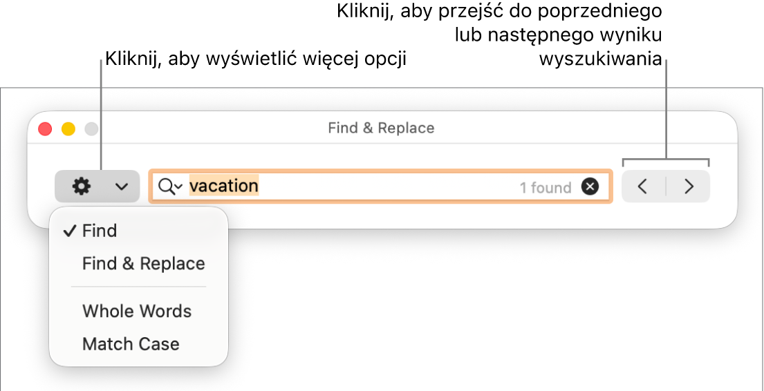 Okno Znajdź i zastąp oraz menu podręczne zawierające opcje Znajdź, Znajdź i zastąp, Całe wyrazy oraz Wielkość liter. Strzałki znajdujące się po prawej umożliwiają przechodzenie do poprzedniego lub następnego wyniku wyszukiwania.