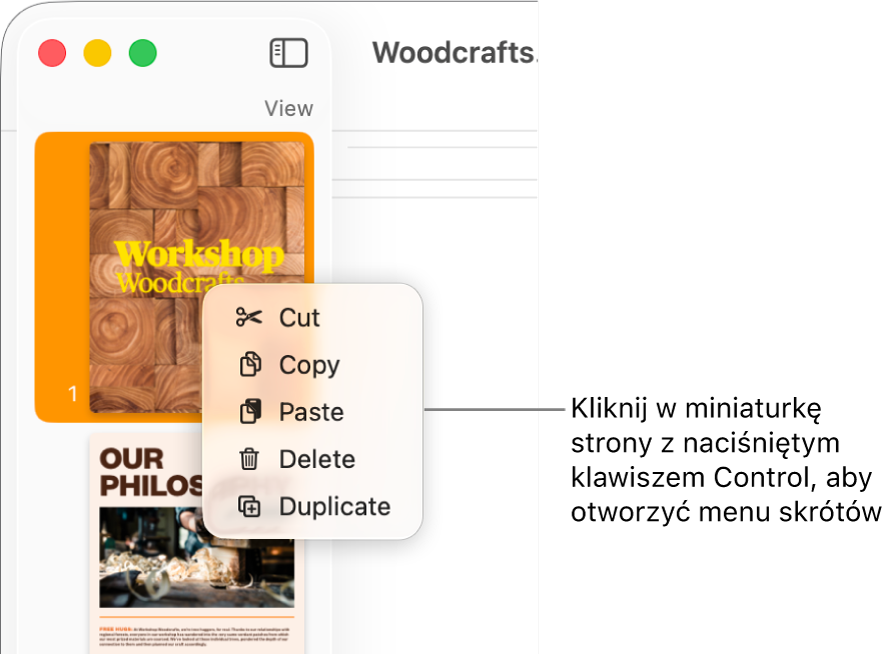 Widok miniaturek stron zawierający jedną zaznaczoną miniaturkę oraz otwarte menu skrótów.