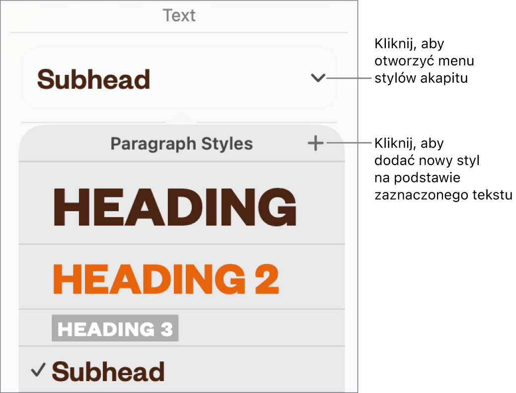 Menu Style akapitu, zawierające narzędzia pozwalające na dodawanie lub zmienianie stylu.