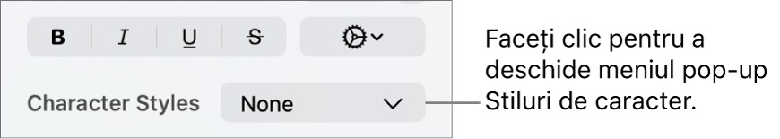 Meniul pop-up Stiluri de caracter sub comenzile pentru schimbarea stilului și a culorii textului.
