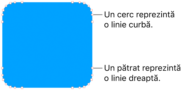 Formă cu puncte editabile.