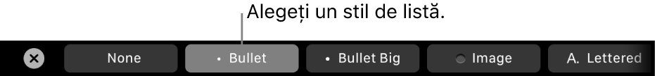 Bara Touch Bar de pe MacBook Pro, cu comenzi pentru alegerea unui stil de listă.