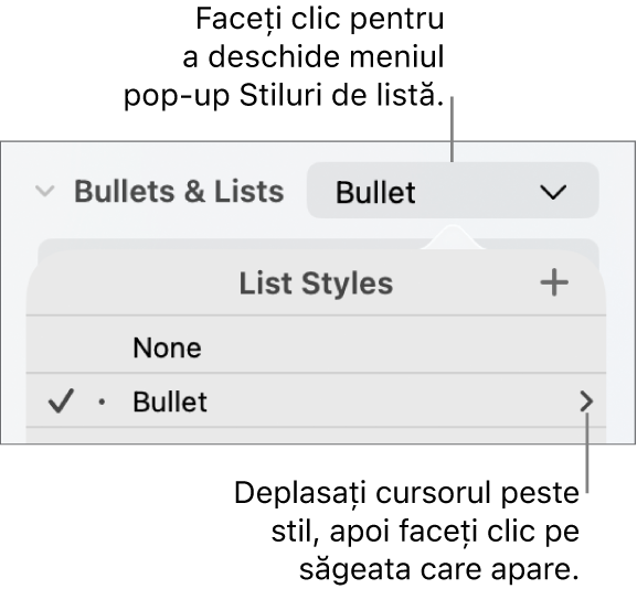 Meniul pop-up Stiluri de listă cu un stil selectat și o săgeată în extremitatea dreaptă.