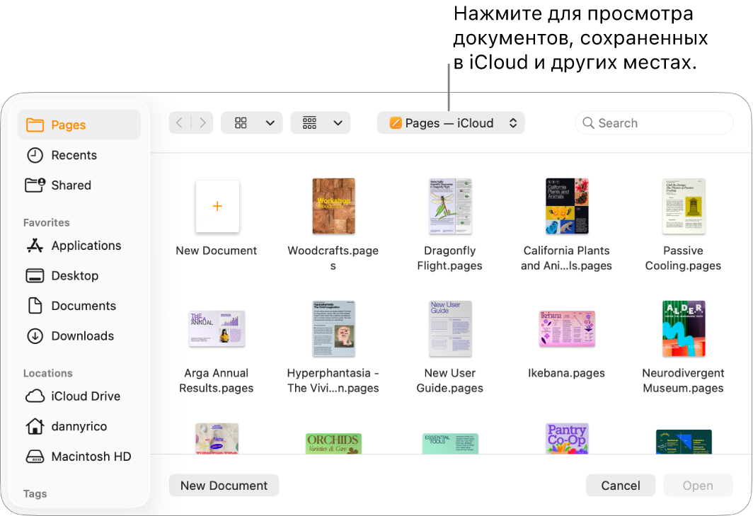 Диалоговое окно «Открыть»: слева открыто боковое меню, а во всплывающем меню вверху выбран iCloud Drive. В диалоговом окне отображается папка Pages, а также кнопка «Новый документ».