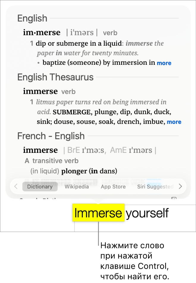 Абзац с выделенным словом и окно, в котором показано определение слова и статья толкового словаря. Кнопки внизу окна обеспечивают доступ к словарю, Википедии, предложенным Siri сайтам.
