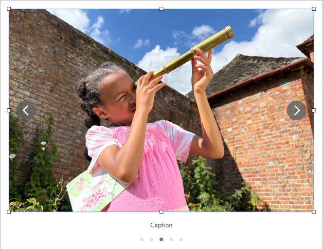 Ett bildgalleriobjekt som innehåller fem bilder med en text nedanför det och navigeringspilar på högra och vänstra sidorna.