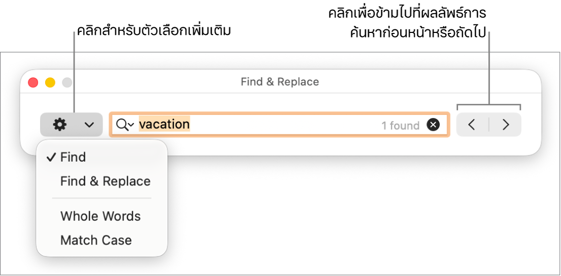 หน้าต่างค้นหาและแทนที่พร้อมเมนูที่แสดงขึ้นที่แสดงตัวเลือกสำหรับค้นหา ค้นหาและแทนที่ ทั้งคำ และตัวใหญ่เล็กตรงกัน ลูกศรด้านขวาทำให้คุณสามารถข้ามไปที่ผลการค้นหาก่อนหน้าหรือถัดไปได้