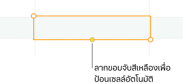 เซลล์ที่เลือกที่มีขอบจับสีเหลือง ซึ่งคุณสามารถลากเพื่อป้อนเซลล์อัตโนมัติได้