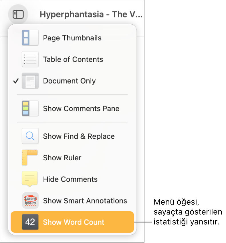 En alt taraftaki Karakter Sayısını Göster ile birlikte açık Görüntü menüsü.