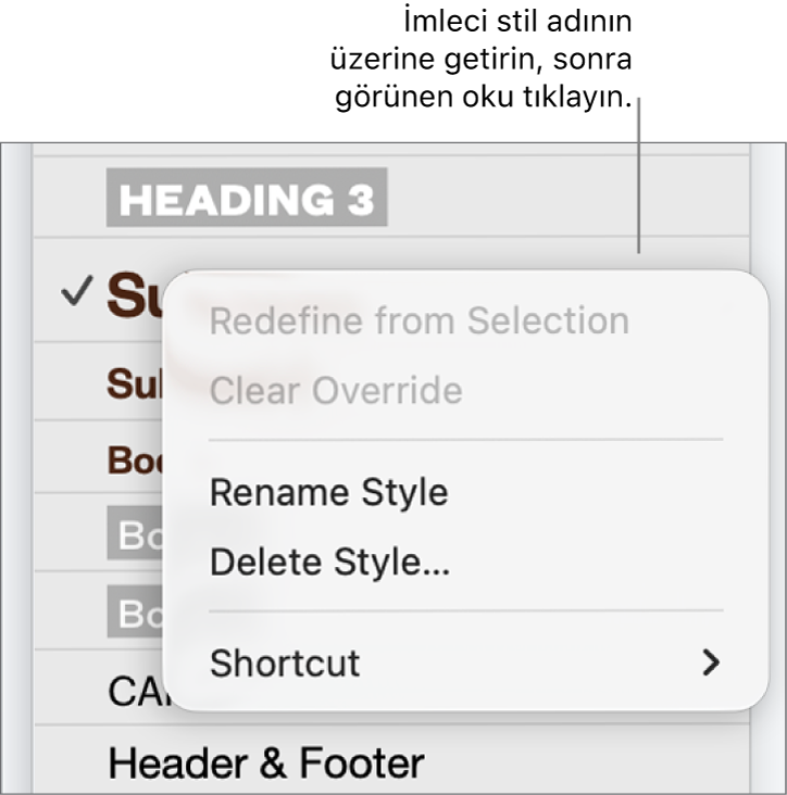 Kestirme menüsünün açık olduğu Paragraf Stilleri menüsü.