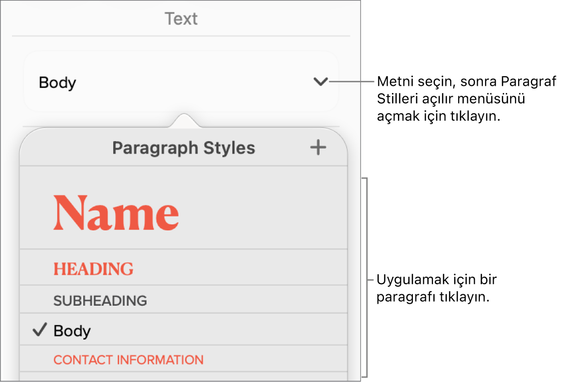Paragraf Stilleri menüsü.