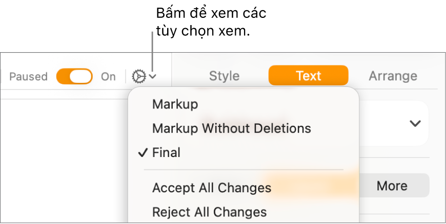 Menu tùy chọn kiểm tra đang hiển thị Đánh dấu, Đánh dấu không có phần xóa và Cuối.