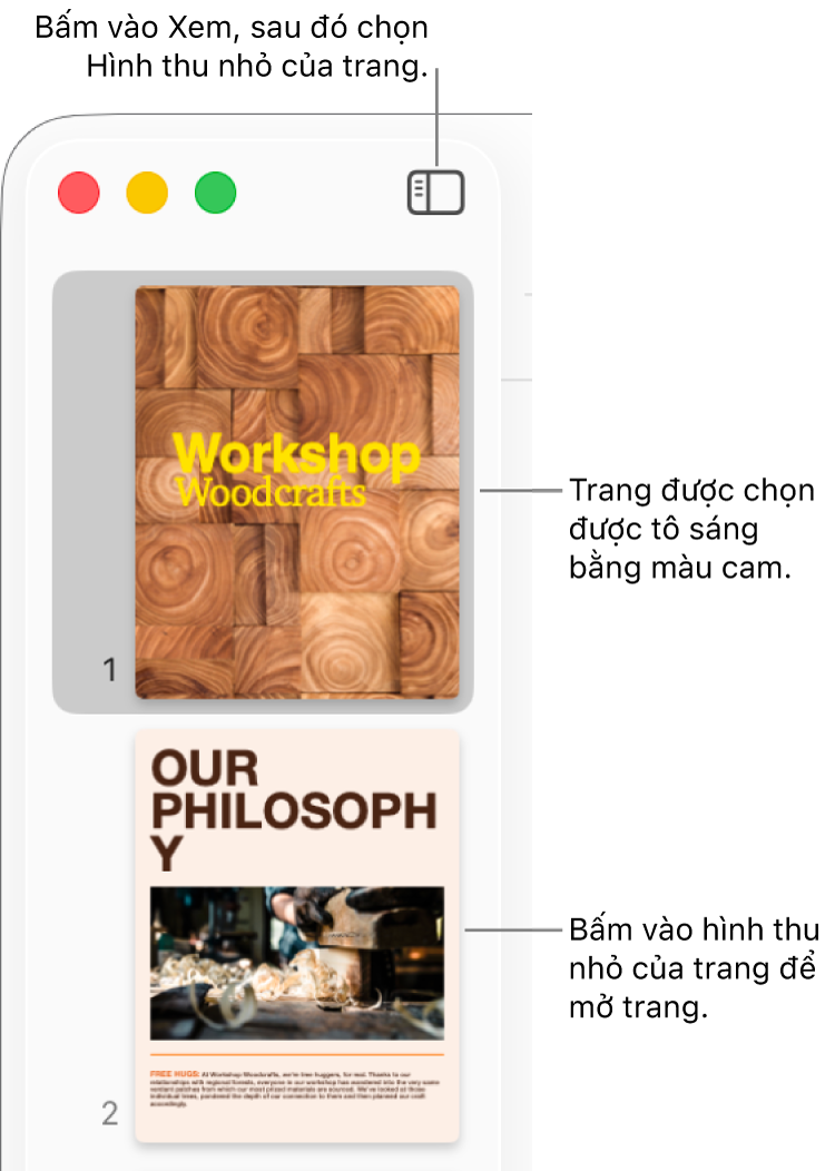 Thanh bên ở bên trái của cửa sổ Pages với chế độ xem Hình thu nhỏ của trang được mở và trang được chọn được tô sáng ở màu cam sẫm.