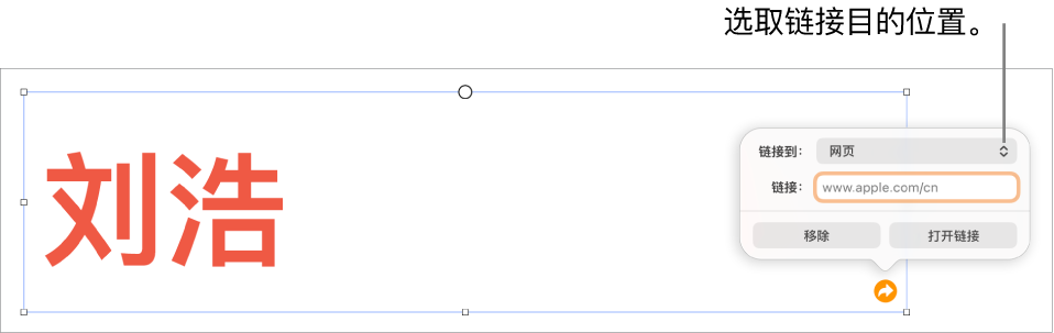 链接编辑器控制,“网页”已选中,“移除”和“打开链接”按钮位于底部。