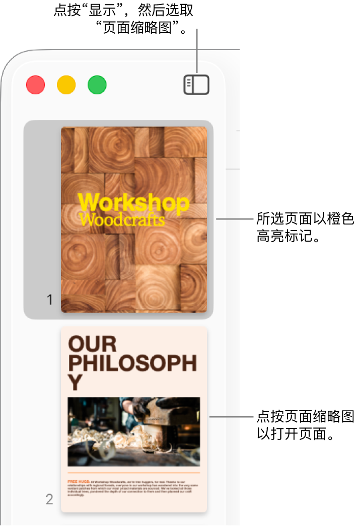 Pages 文稿窗口左侧的边栏中“页面缩略图”视图已打开,所选页面高亮标记为深橙色。