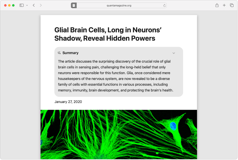 Une fenêtre Safari avec le lecteur sélectionné dans la barre d’outils et un résumé généré par Apple Intelligence sous le titre.