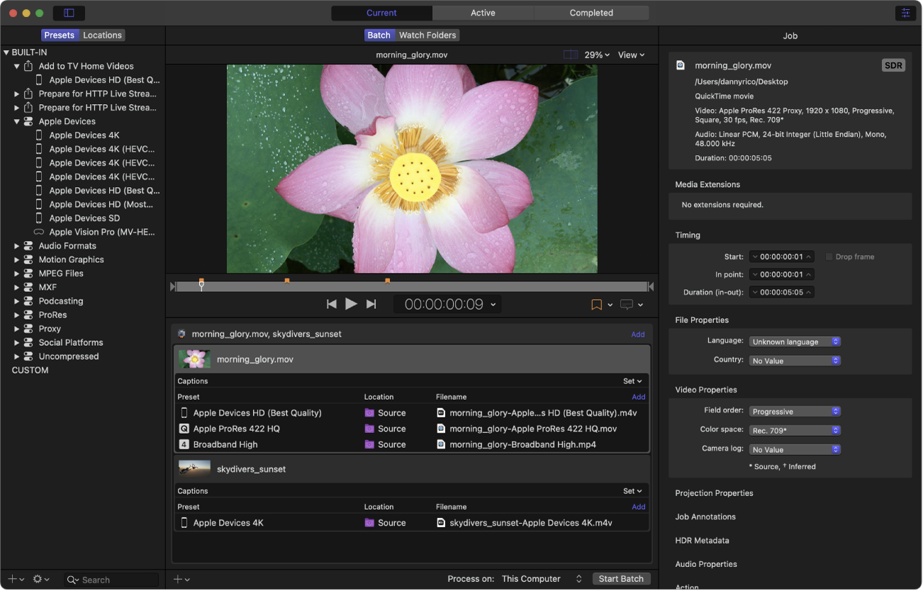 Ventana de Compressor con una tarea seleccionada en el área de lote.