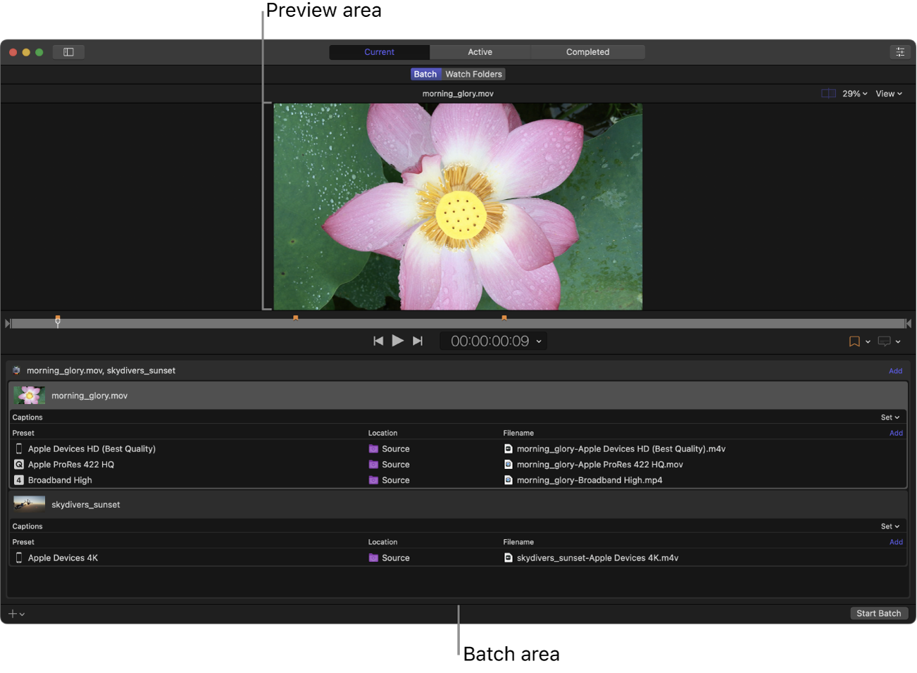 Ventana de Compressor que muestra el área de vista previa y el área de lote en la vista Actual.
