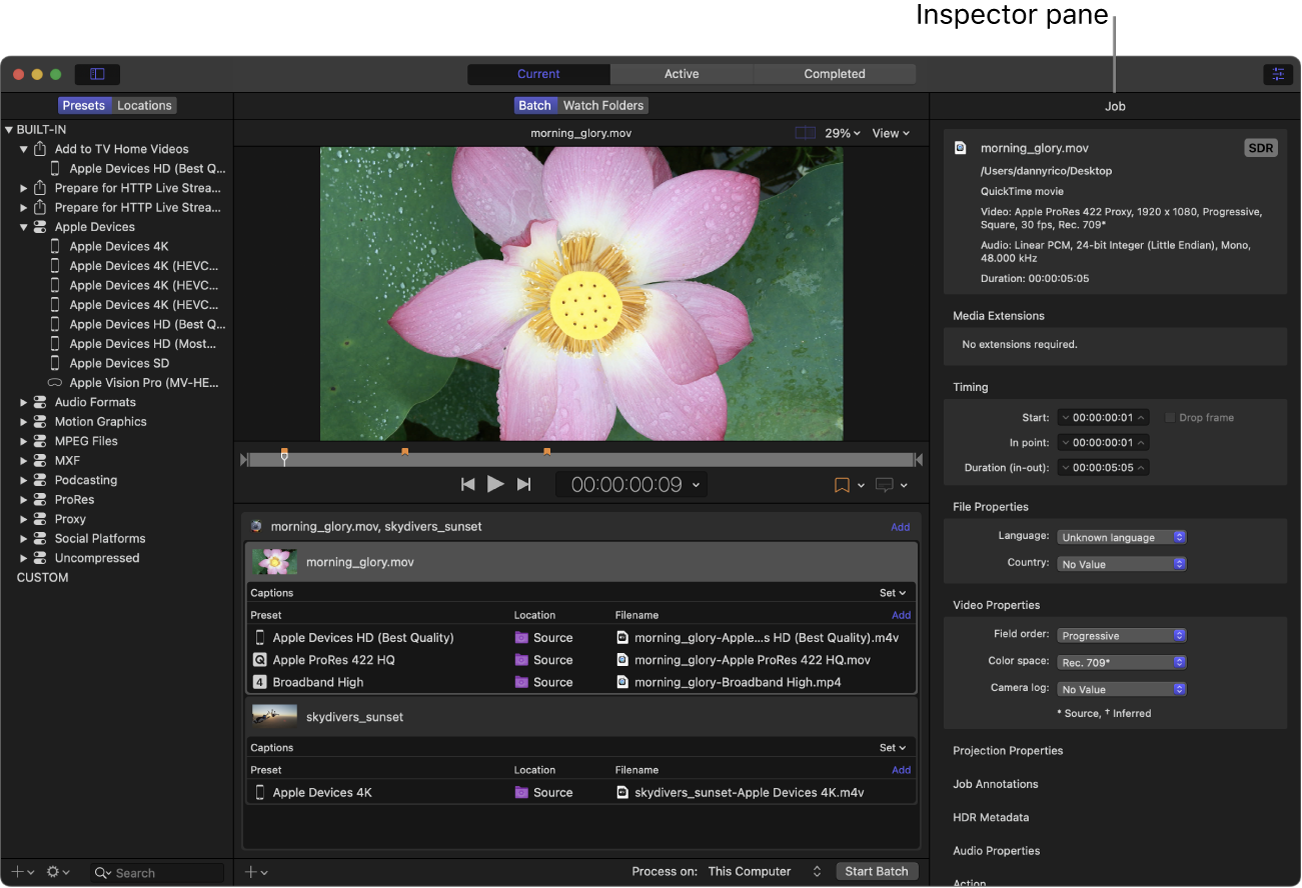 Ventana de Compressor con el panel del inspector.