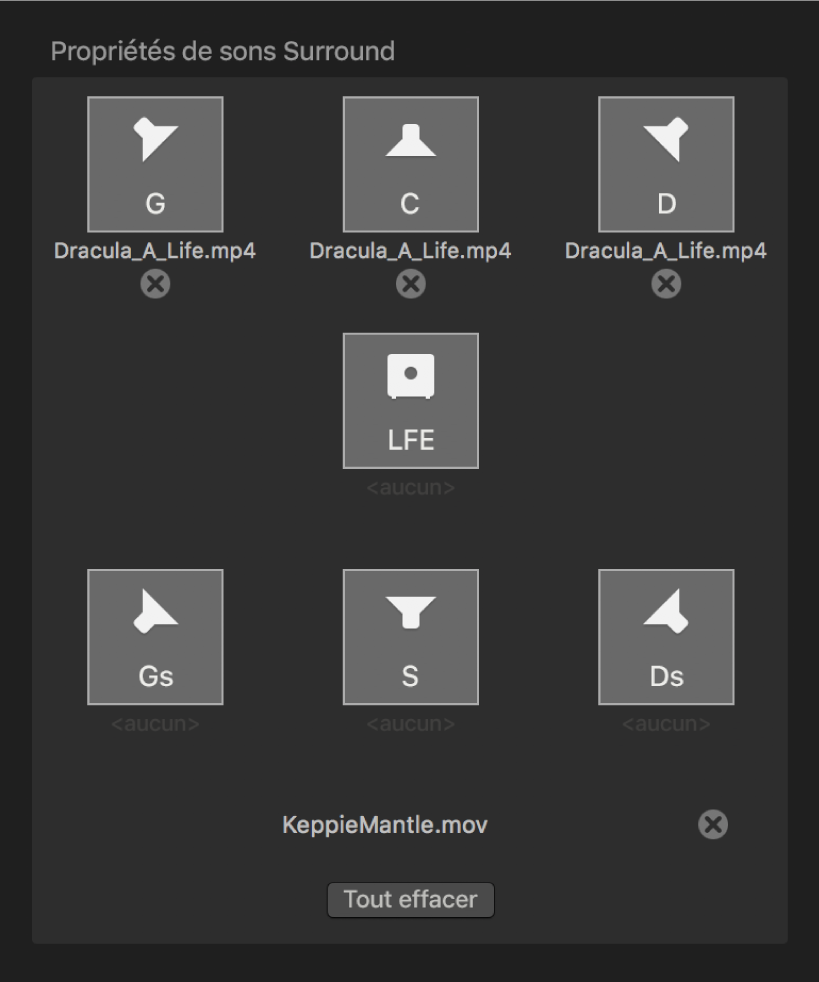 Inspecteur affichant les propriétés de son Surround dans Compressor.